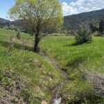 Bozeman MT 59715 - 15