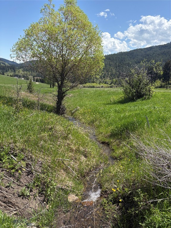Bozeman MT 59715 - 15