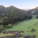 Bozeman MT 59715 - 2
