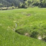 Bozeman MT 59715 - 16