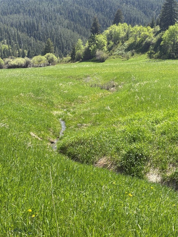 Bozeman MT 59715 - 16