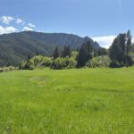 Bozeman MT 59715 - 17