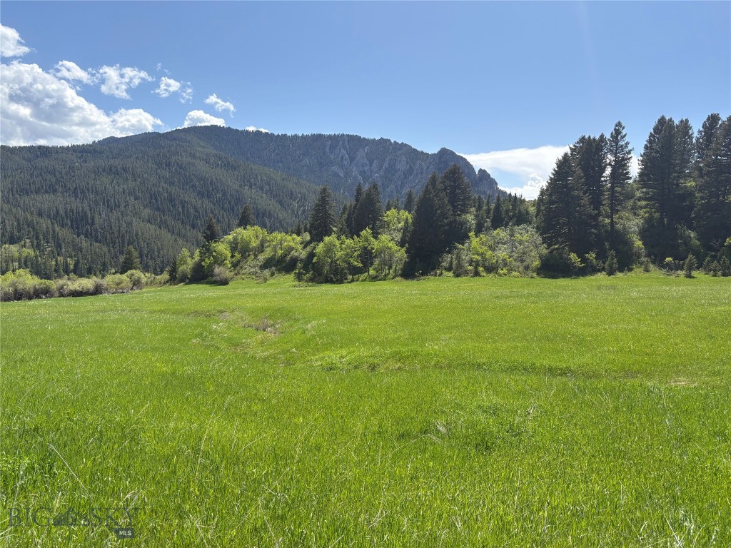 Bozeman MT 59715 - 17