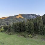 Bozeman MT 59715 - 4