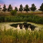 3753 Reese Creek Road
