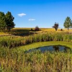 3753 Reese Creek Road