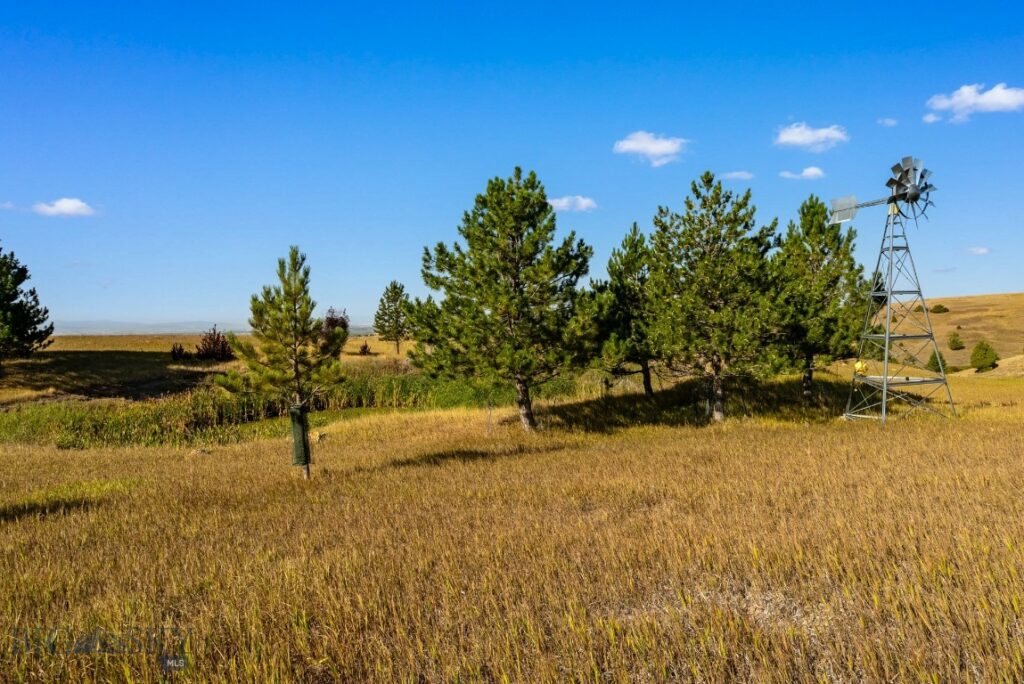 3753 Reese Creek Road