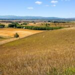 3753 Reese Creek Road