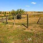 3753 Reese Creek Road