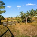 3753 Reese Creek Road