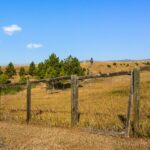 Belgrade MT 59714 - 25