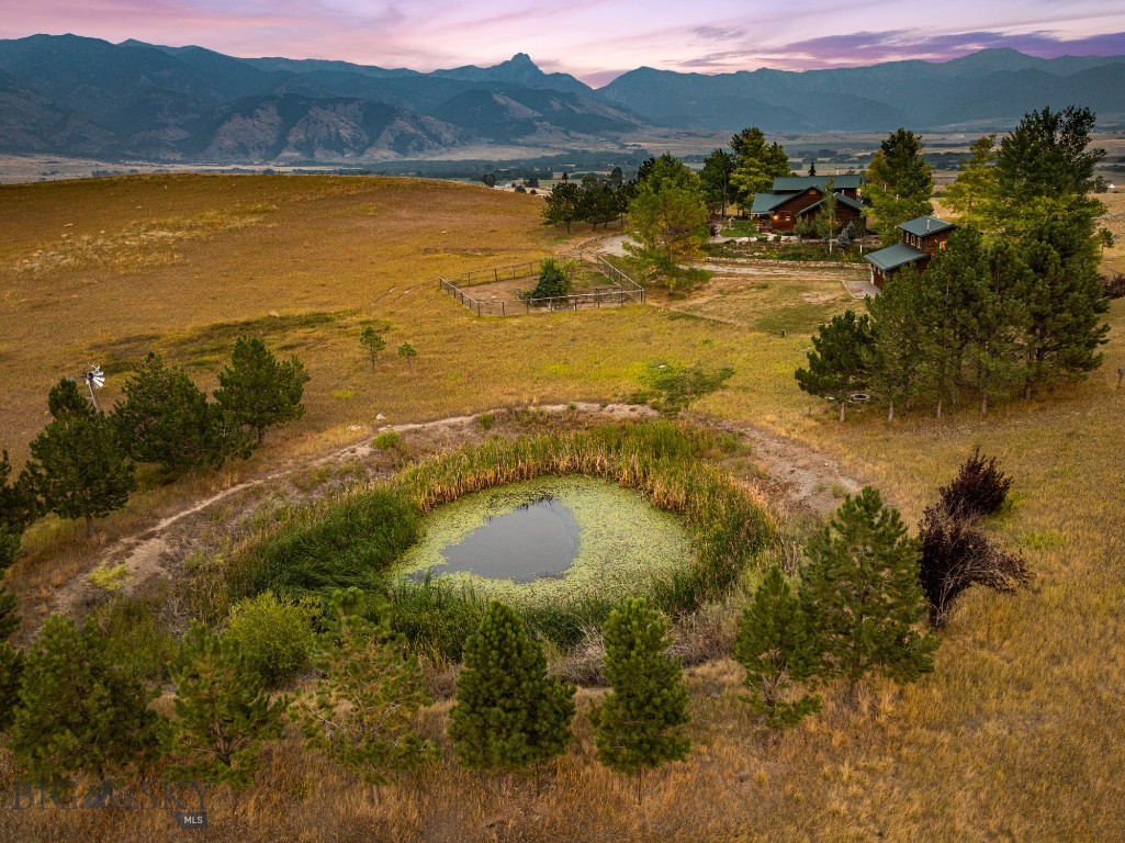 3753 Reese Creek Road