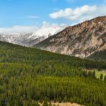 389 Antler Ridge Road