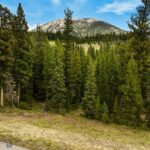 389 Antler Ridge Road