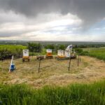 Bozeman MT 59715 - 15