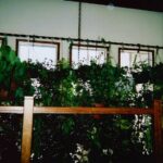 Bozeman MT 59715 - 9