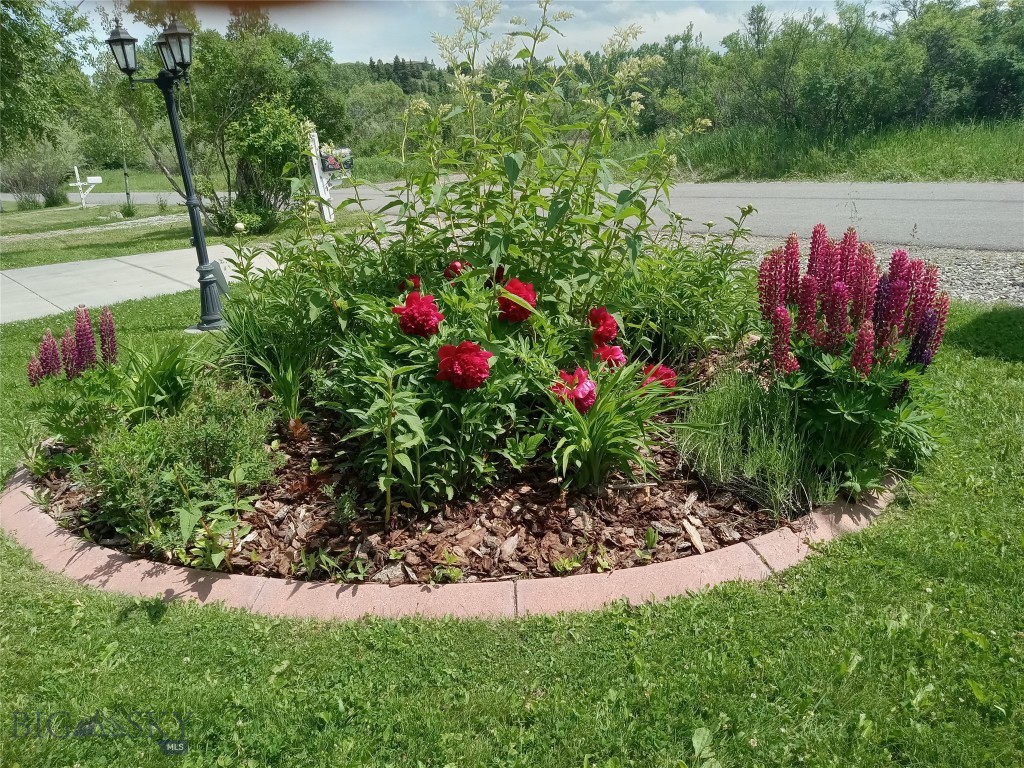 Bozeman MT 59715 - 3