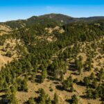 Bozeman MT 59715 - 7