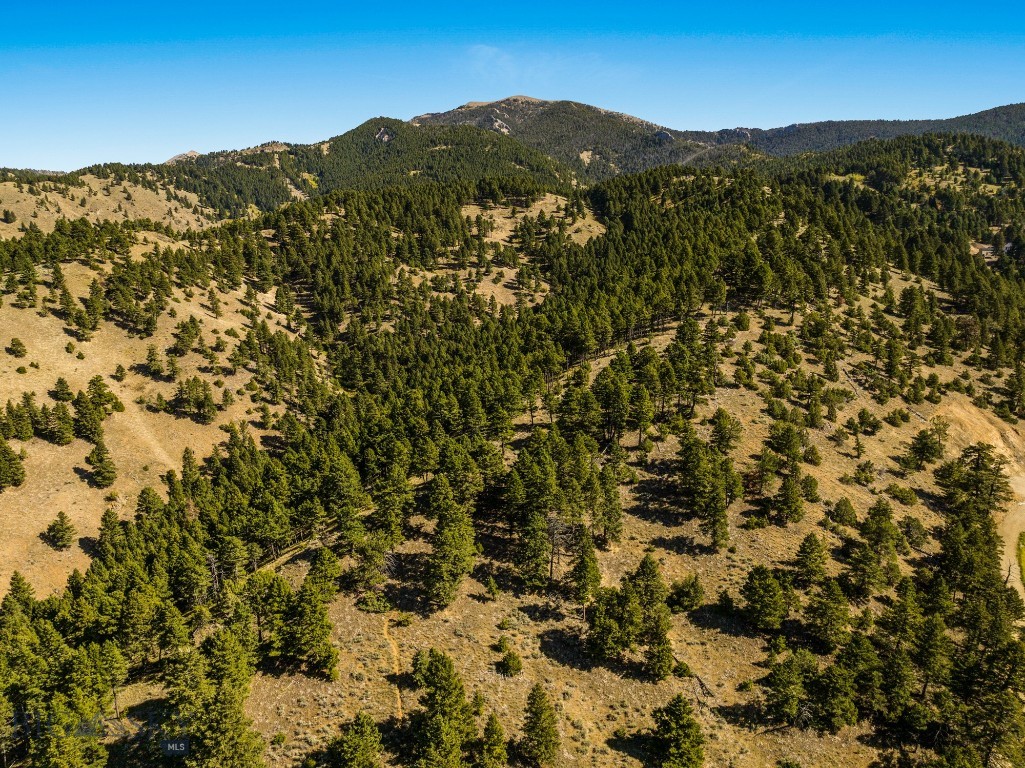 Bozeman MT 59715 - 7