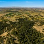 Bozeman MT 59715 - 8