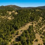 405 Resolute Ridge Road