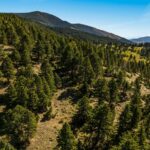 Bozeman MT 59715 - 10