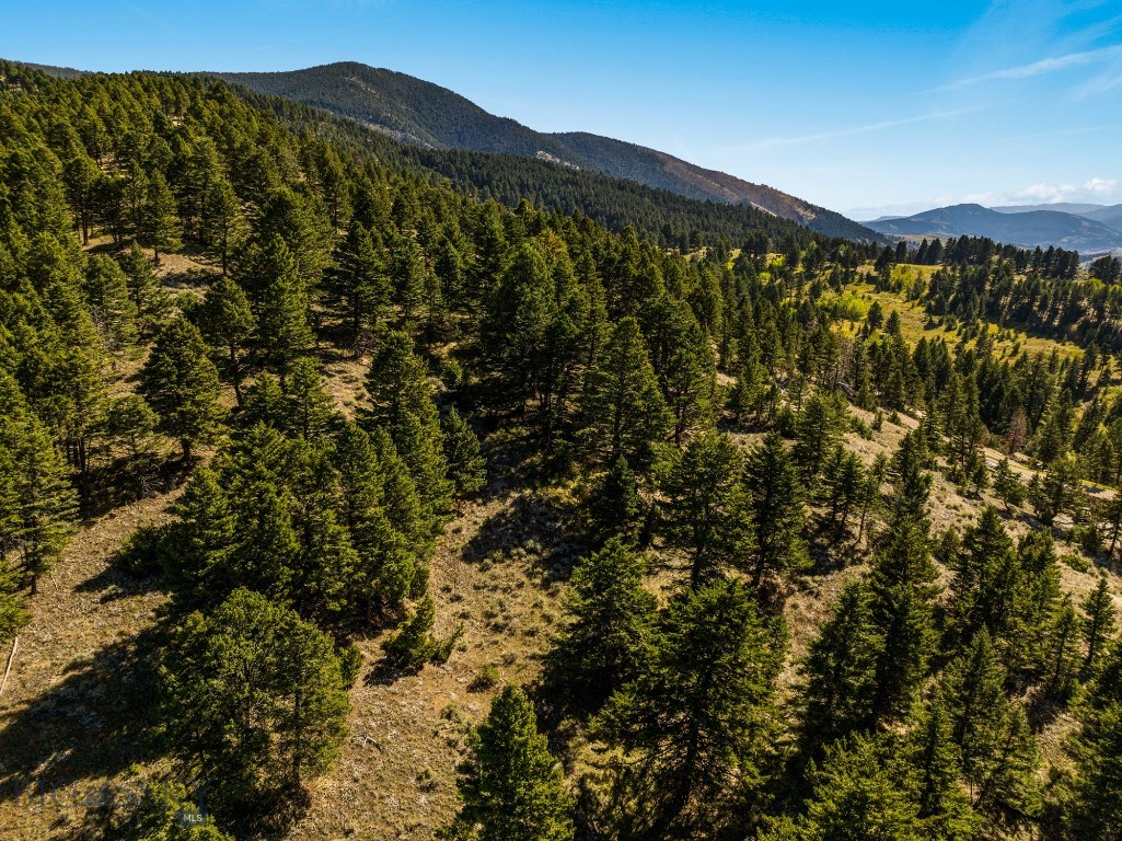 Bozeman MT 59715 - 10