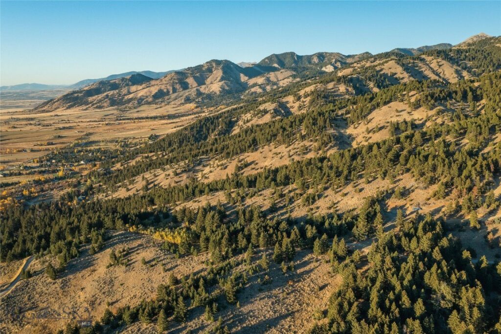 Bozeman MT 59715 - 12