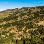 Bozeman MT 59715 - 2