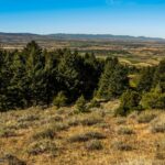 Bozeman MT 59715 - 19