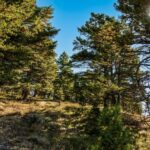 405 Resolute Ridge Road