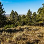 Bozeman MT 59715 - 20