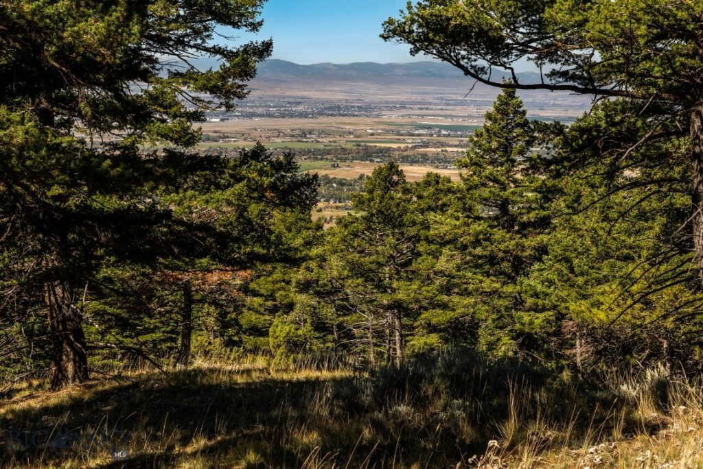 Bozeman MT 59715 - 21