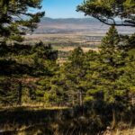 Bozeman MT 59715 - 21