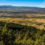 Bozeman MT 59715 - 22