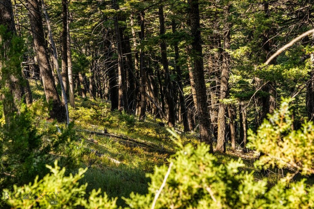 405 Resolute Ridge Road