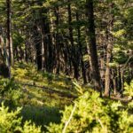 405 Resolute Ridge Road