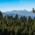 Bozeman MT 59715 - 23