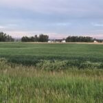 Belgrade MT 59714 - 14