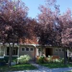 Bozeman MT 59718 - 18