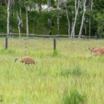 Bozeman MT 59715 - 17