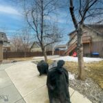Bozeman MT 59718 - 25