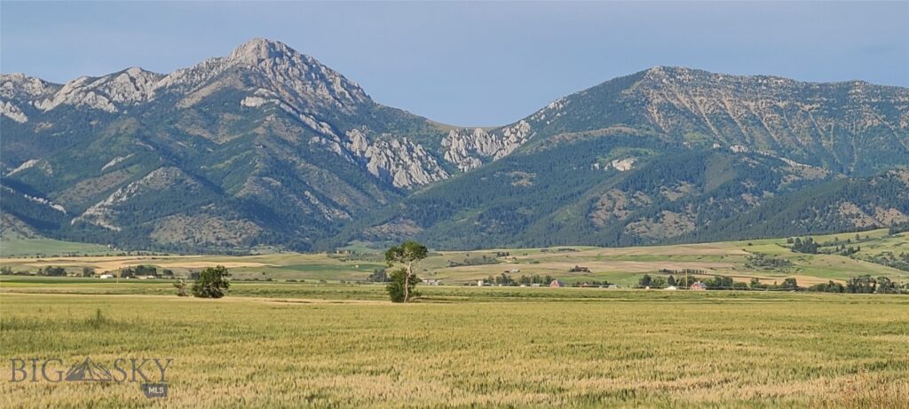 Belgrade MT 59714 - 8