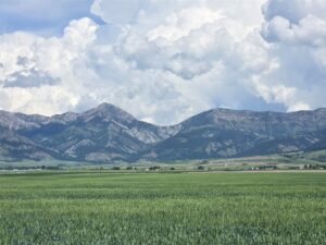 4468 Wes Davis Road N, Belgrade MT 59714