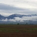 Belgrade MT 59714 - 1