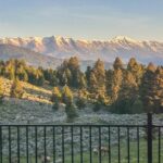 Bozeman MT 59715 - 6