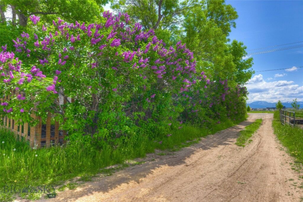 Bozeman MT 59718 - 4