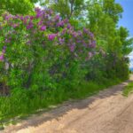 Bozeman MT 59718 - 4