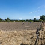 Bozeman MT 59718 - 21