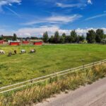 Bozeman MT 59718 - 25